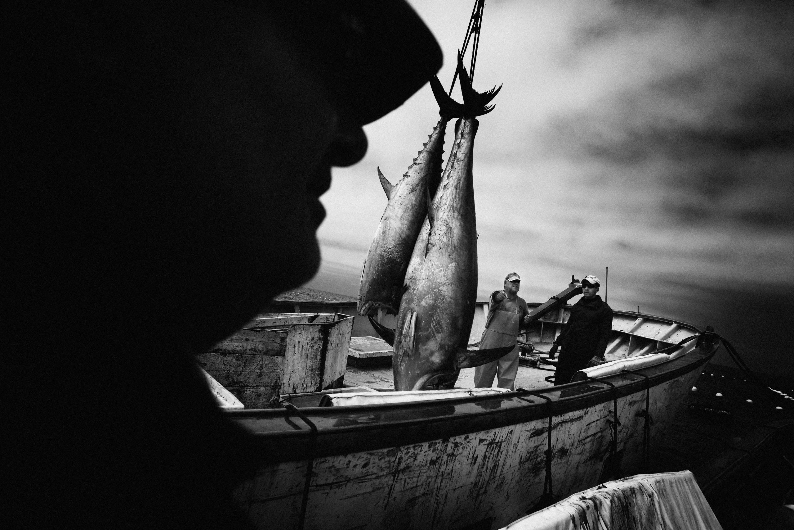 Pescador durante la temporada del Atún Rojo de Almadraba